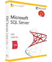 MICROSOFT SQL SERVER 2016 - 25 PACK USER CAL MICROSOFT SQL SERVER 2016 - 25 PACK USER CAL